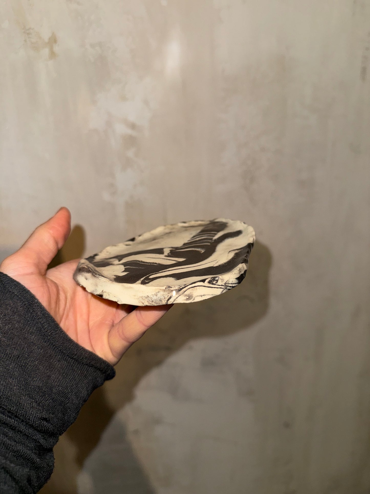 b/w dish