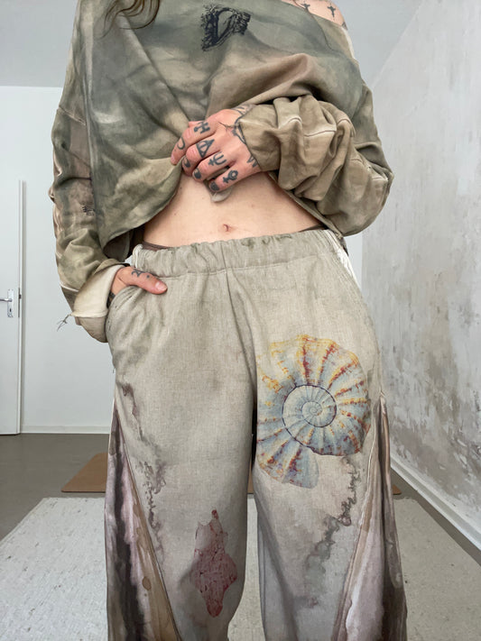 ammonite soft shell pants
