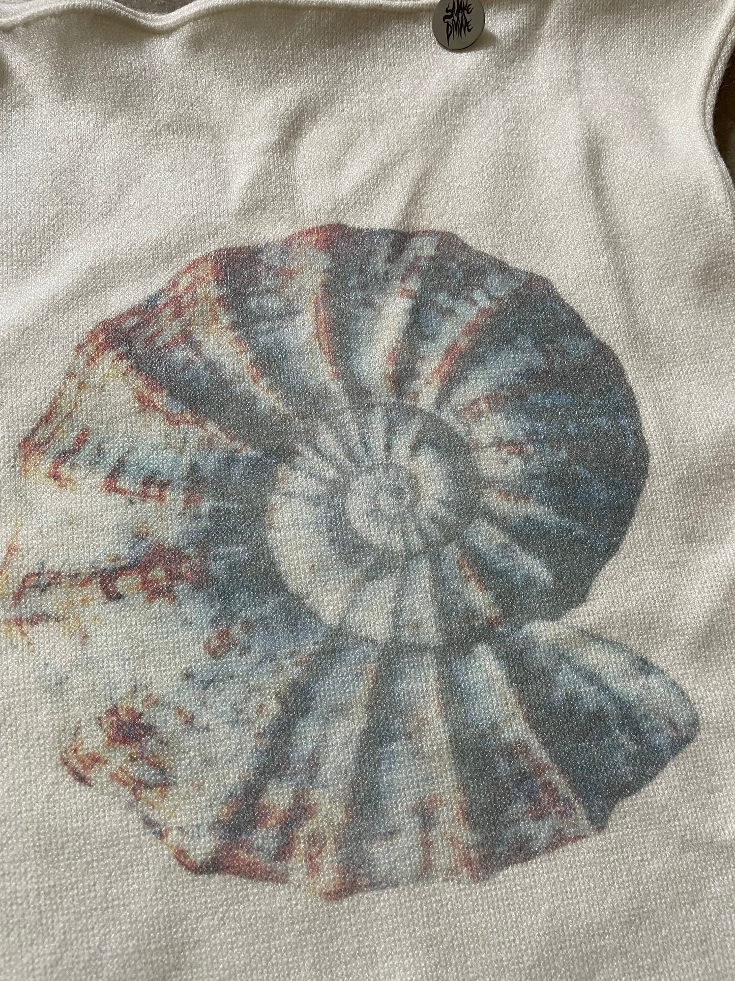 ammonite knit top