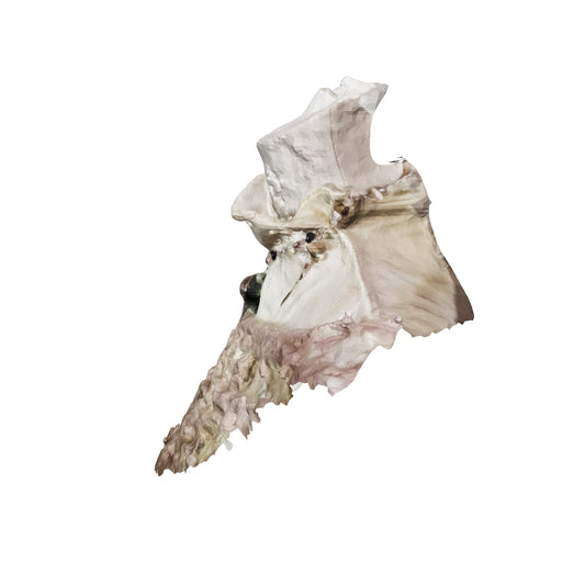 an incredible entity has been found