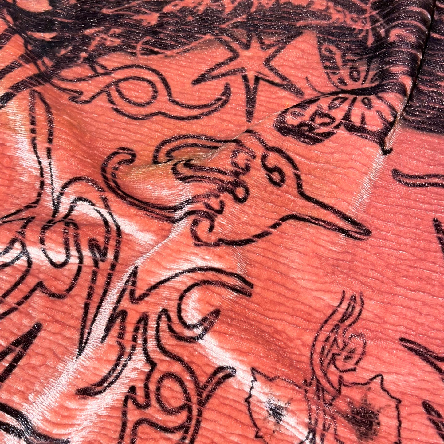 salmon plate longsleeve