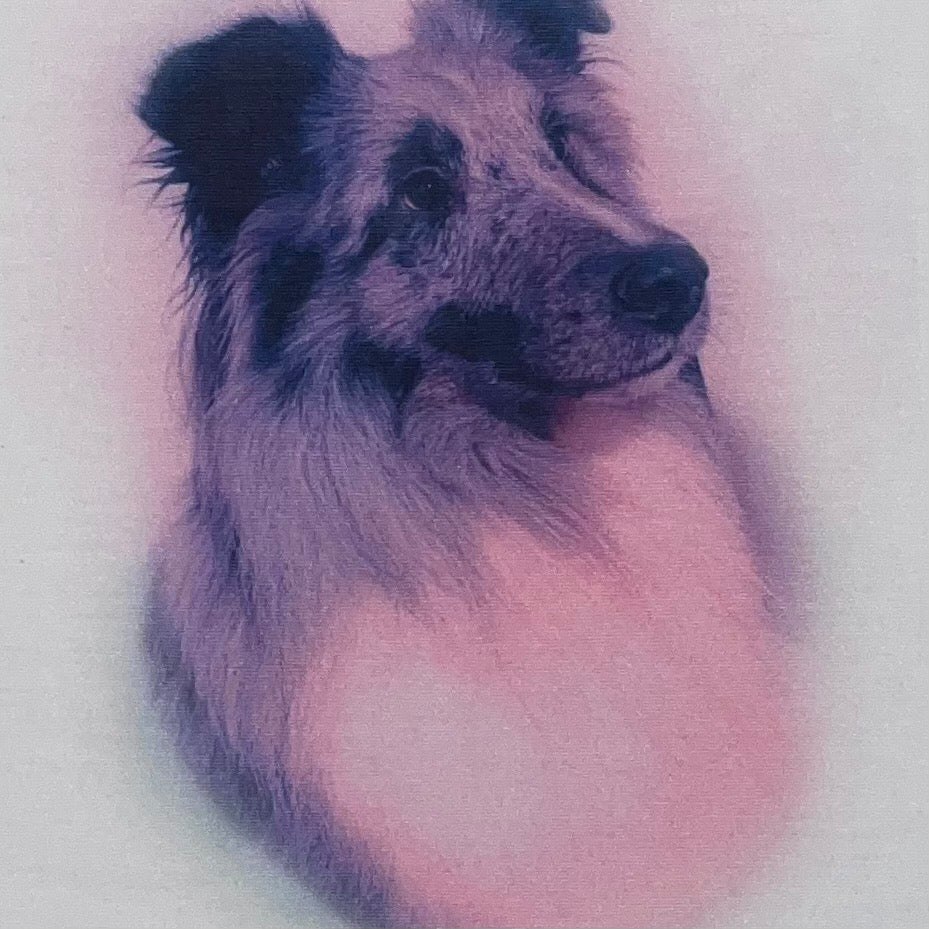 my dog on a shirt