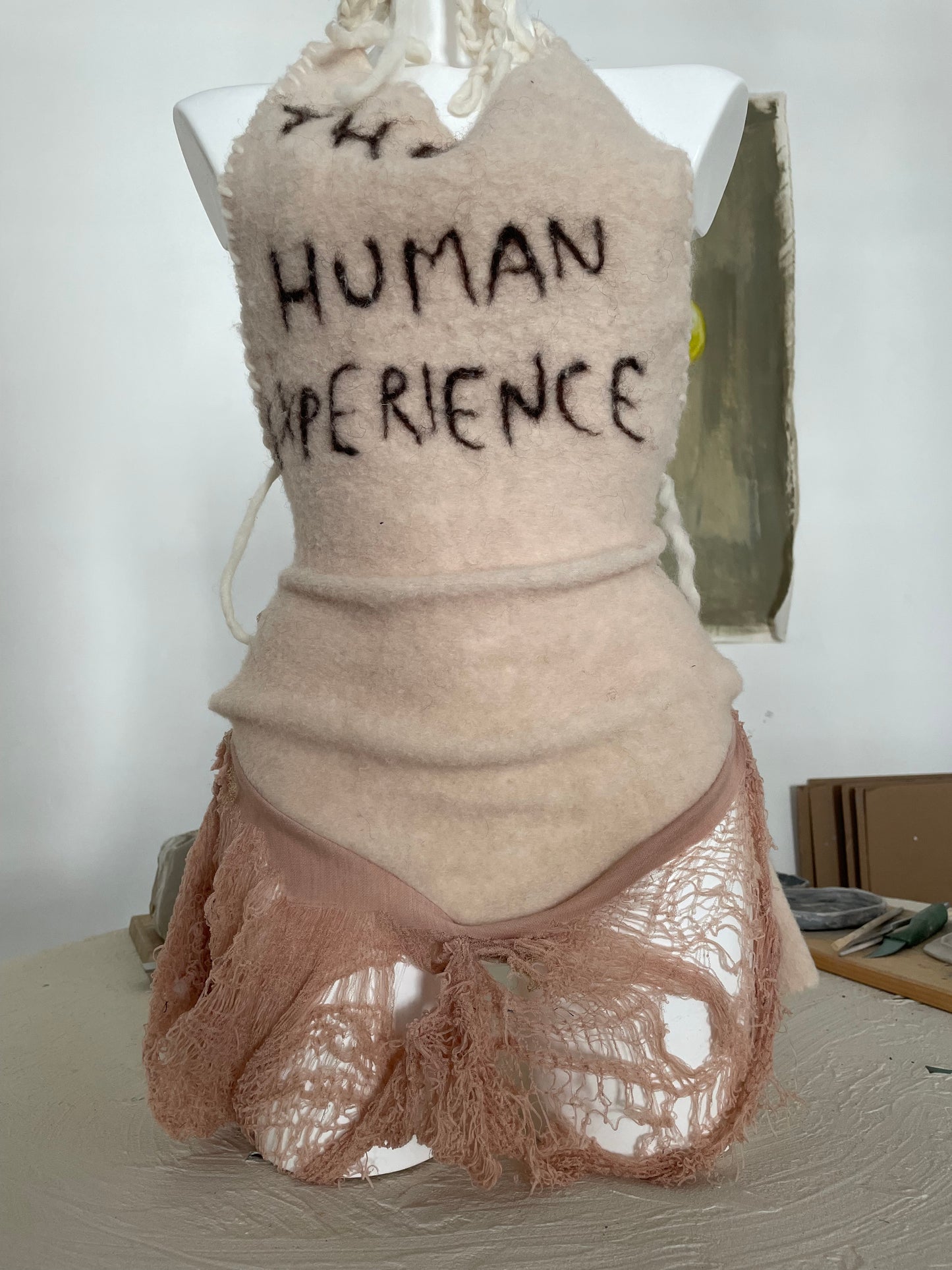 human experience wool dress