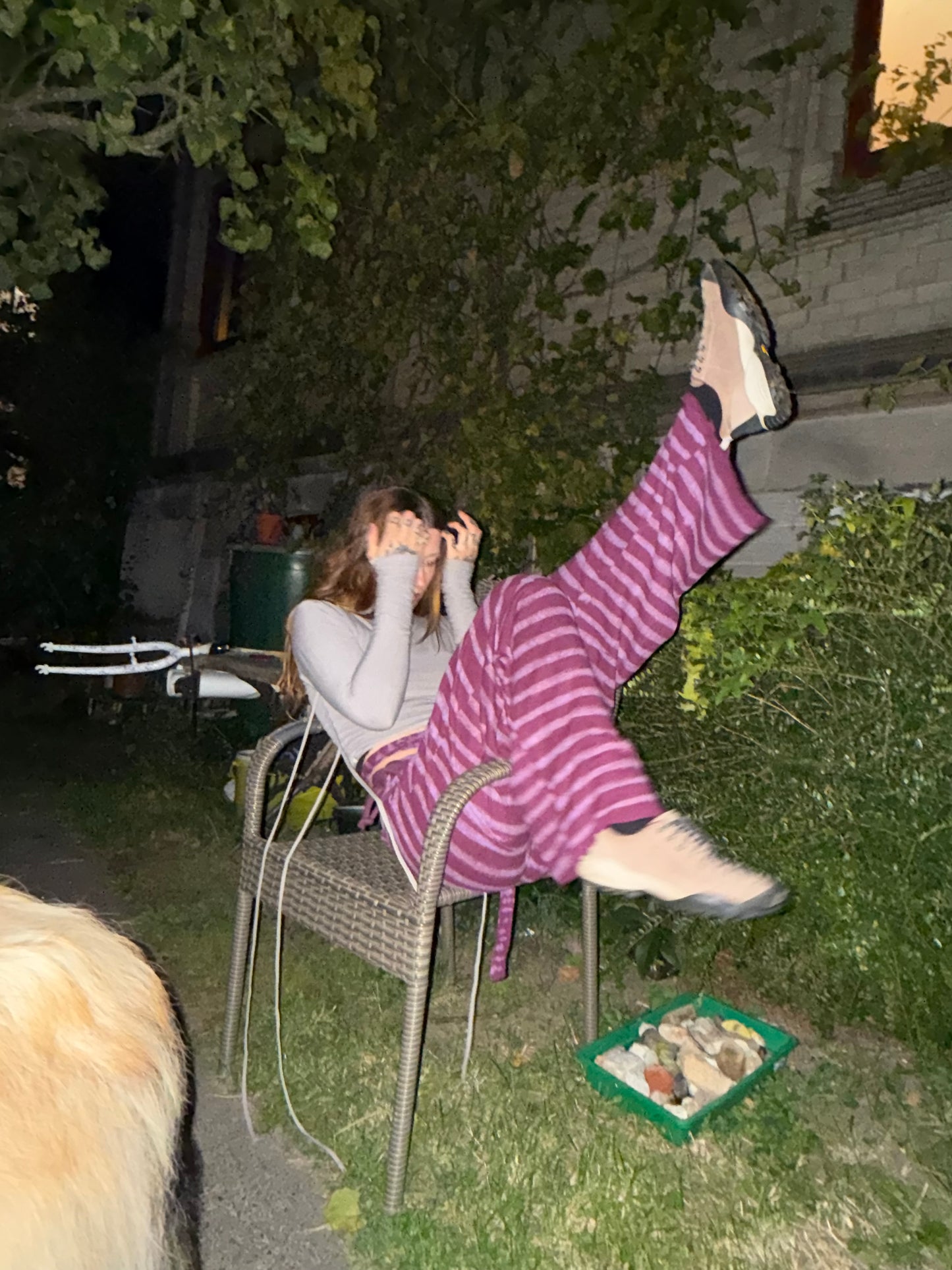 zucchini pants