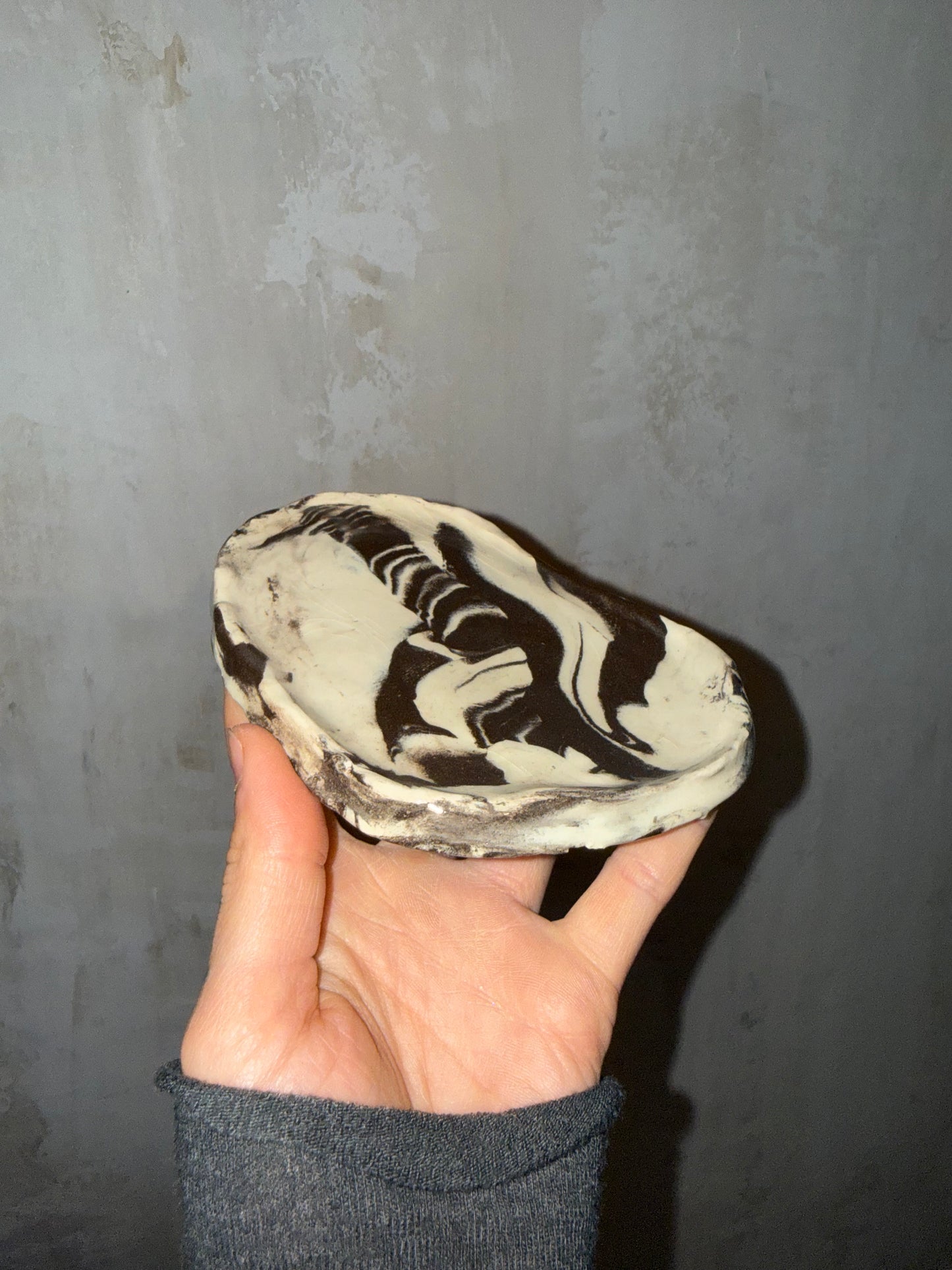 b/w dish