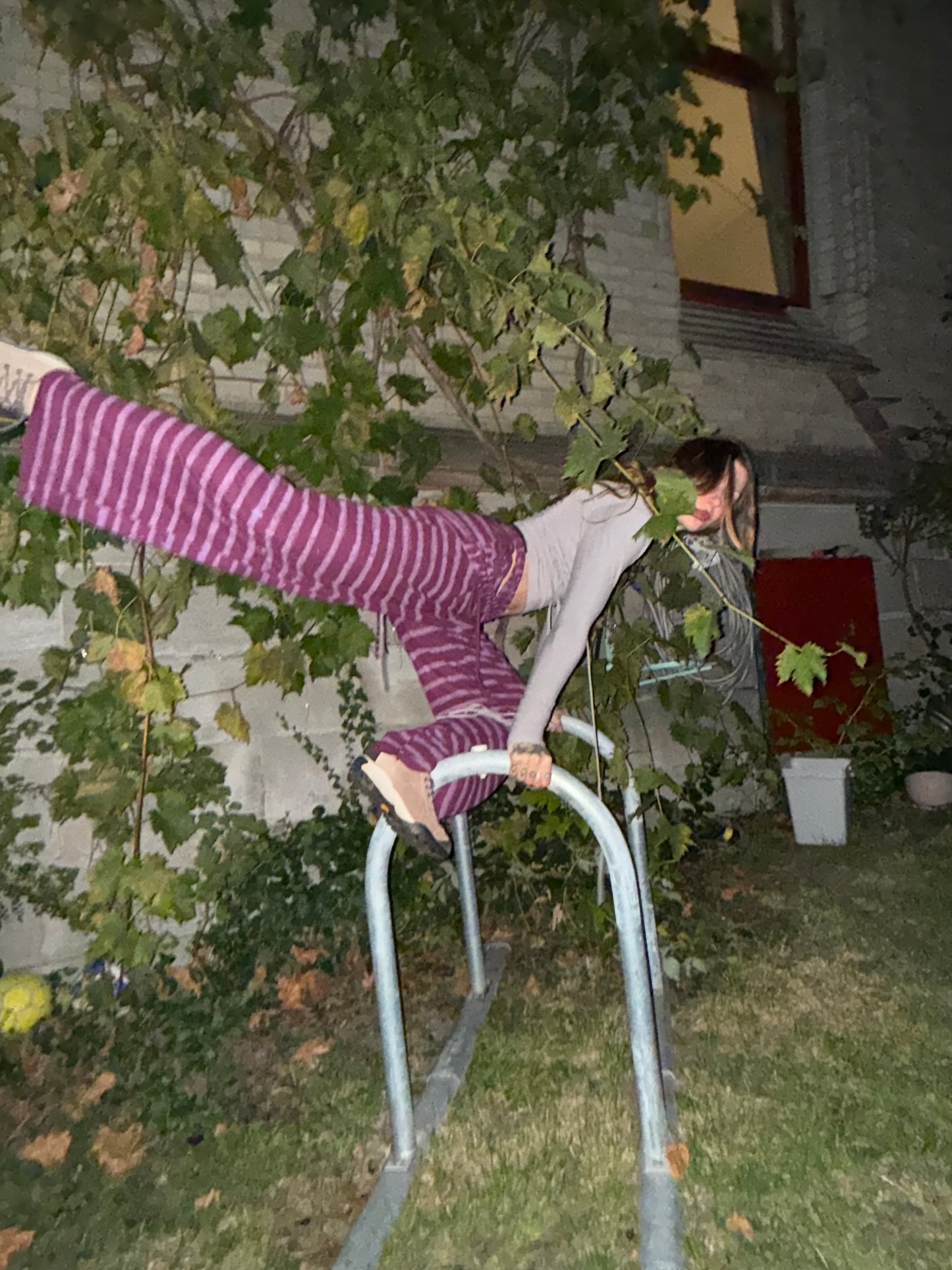 zucchini pants