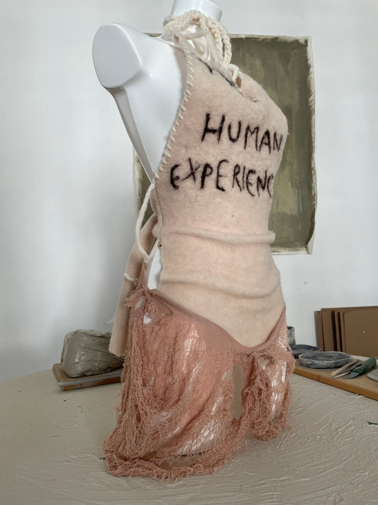human experience wool dress