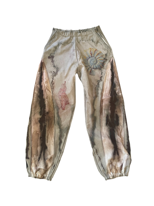 ammonite soft shell pants