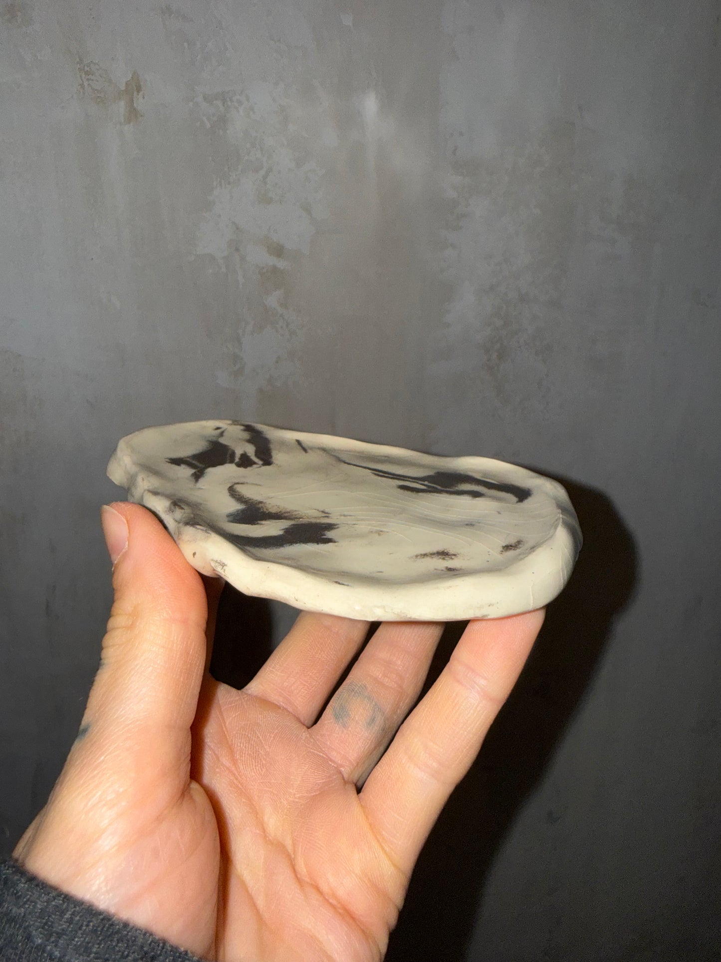 b/w dish