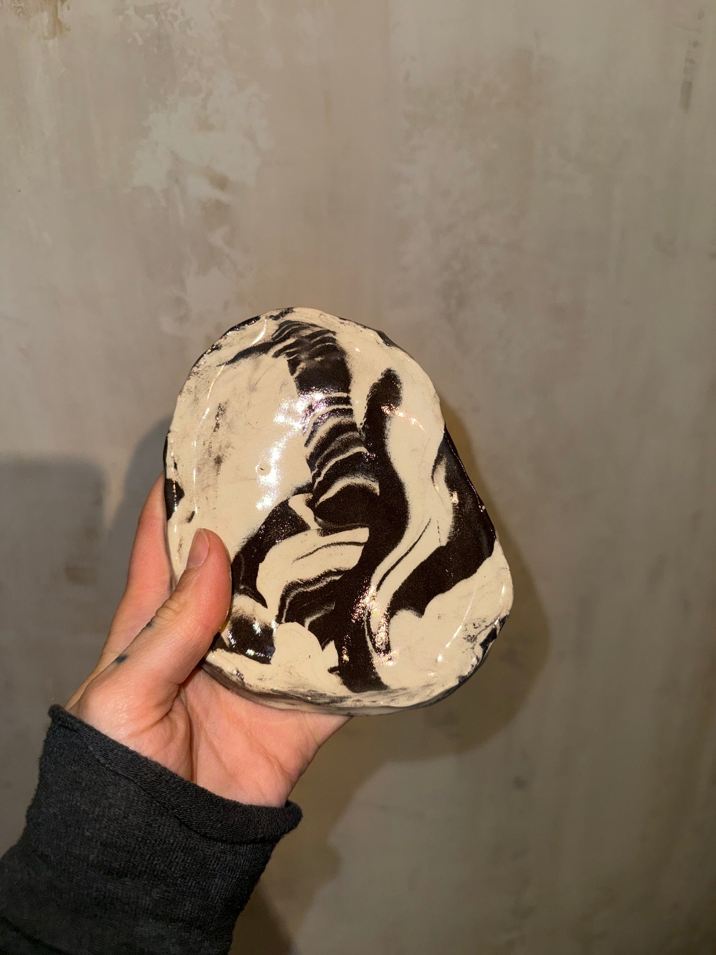 b/w dish