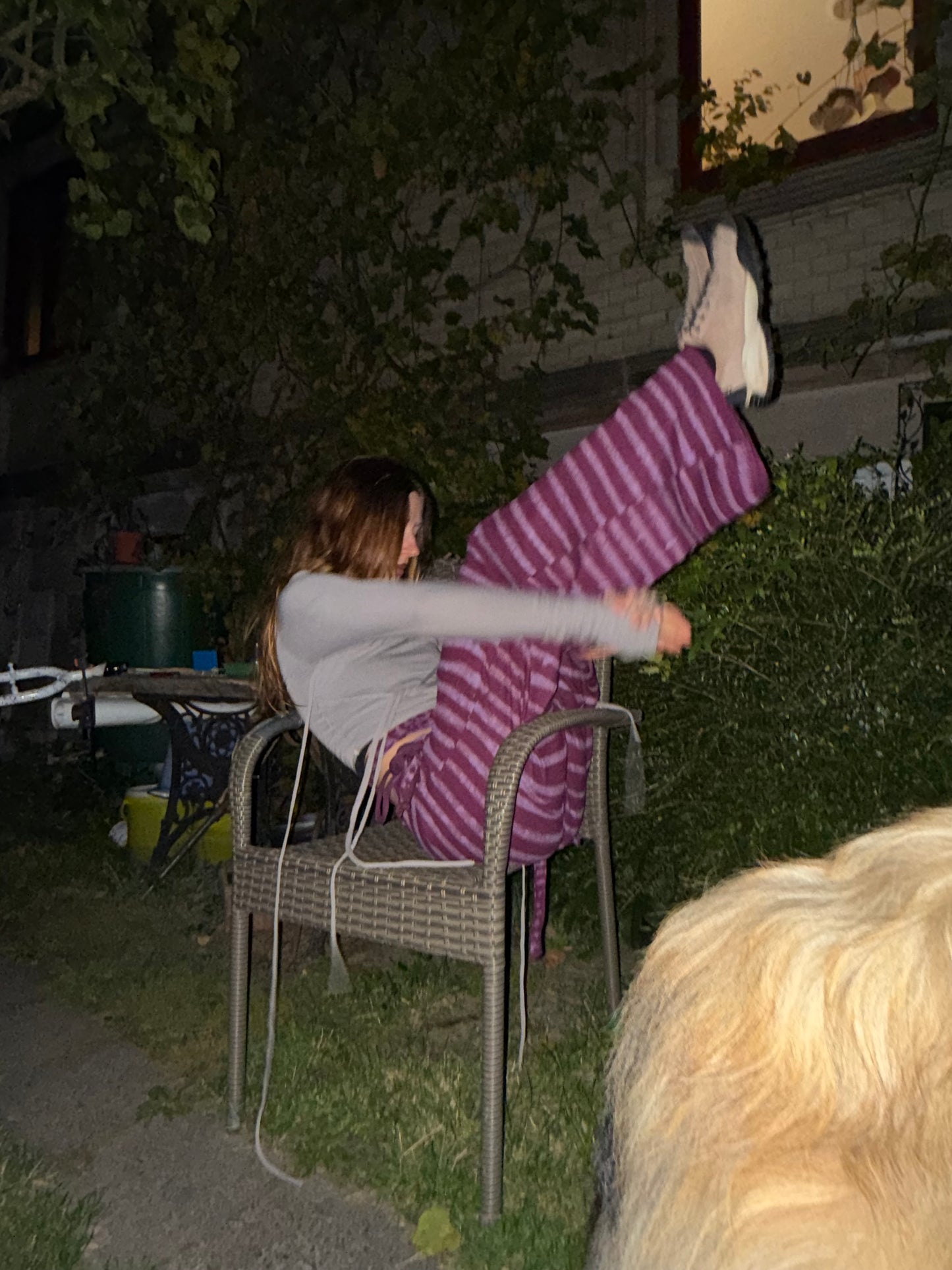 zucchini pants