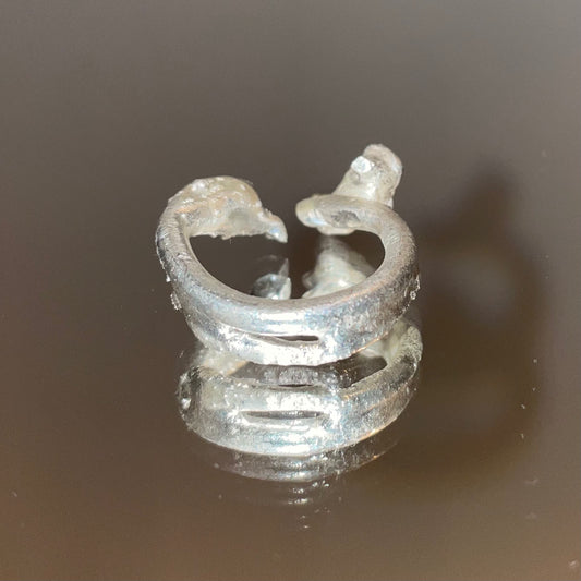 dolphin 999 silver ring